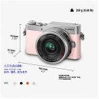 松下（Panasonic）GF9X微型單電套機（14-42mm電動鏡頭）4K美顏自拍神器、觸摸翻轉屏、WIFI傳輸 櫻花粉